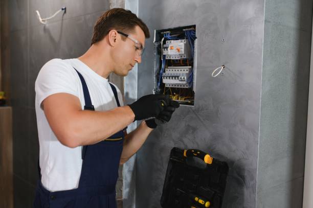 Best Electric Panel Repair  in East Lake Orient Park, FL