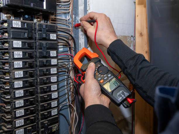 Best Electrical Upgrades for Homes  in East Lake Orient Park, FL