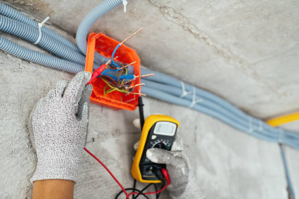 Best Electrical System Inspection  in East Lake Orient Park, FL